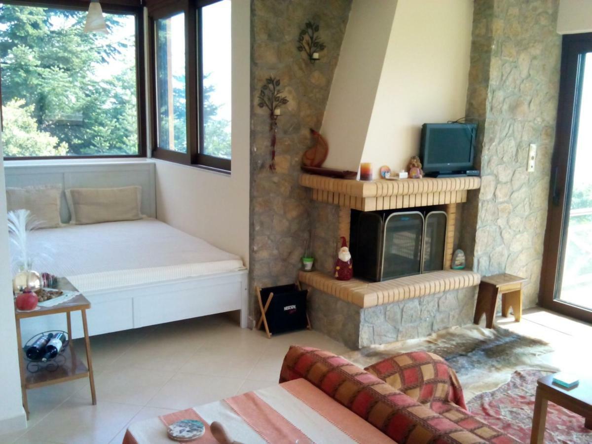 Elatos cozy Studio Ano Trikala Esterno foto