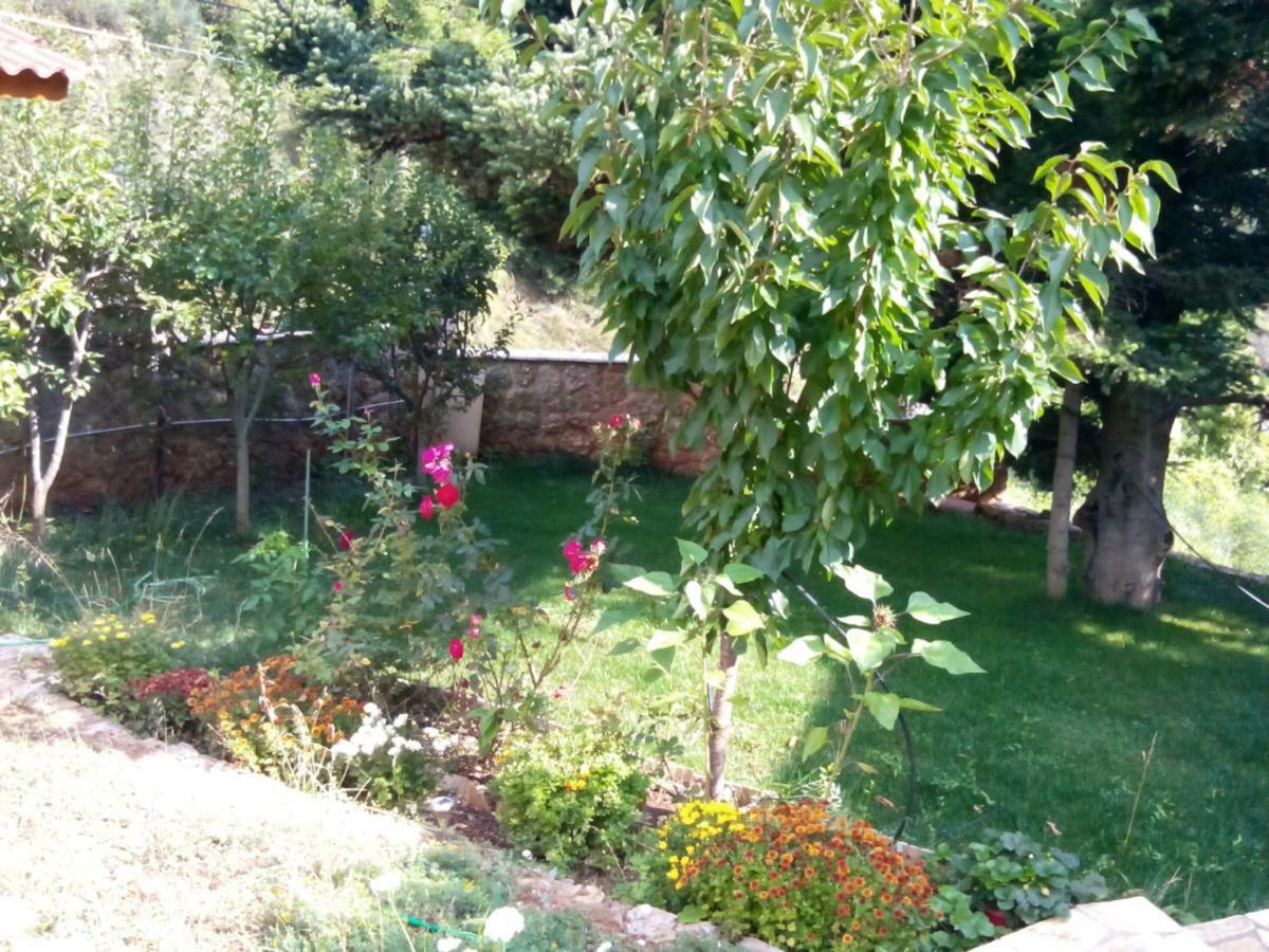 Elatos cozy Studio Ano Trikala Esterno foto