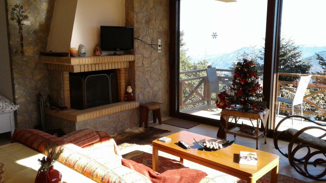 Elatos cozy Studio Ano Trikala Esterno foto