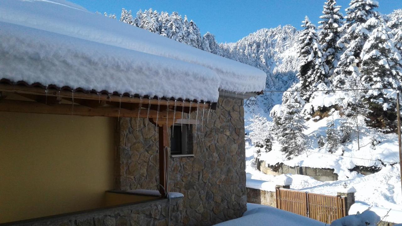Elatos cozy Studio Ano Trikala Esterno foto