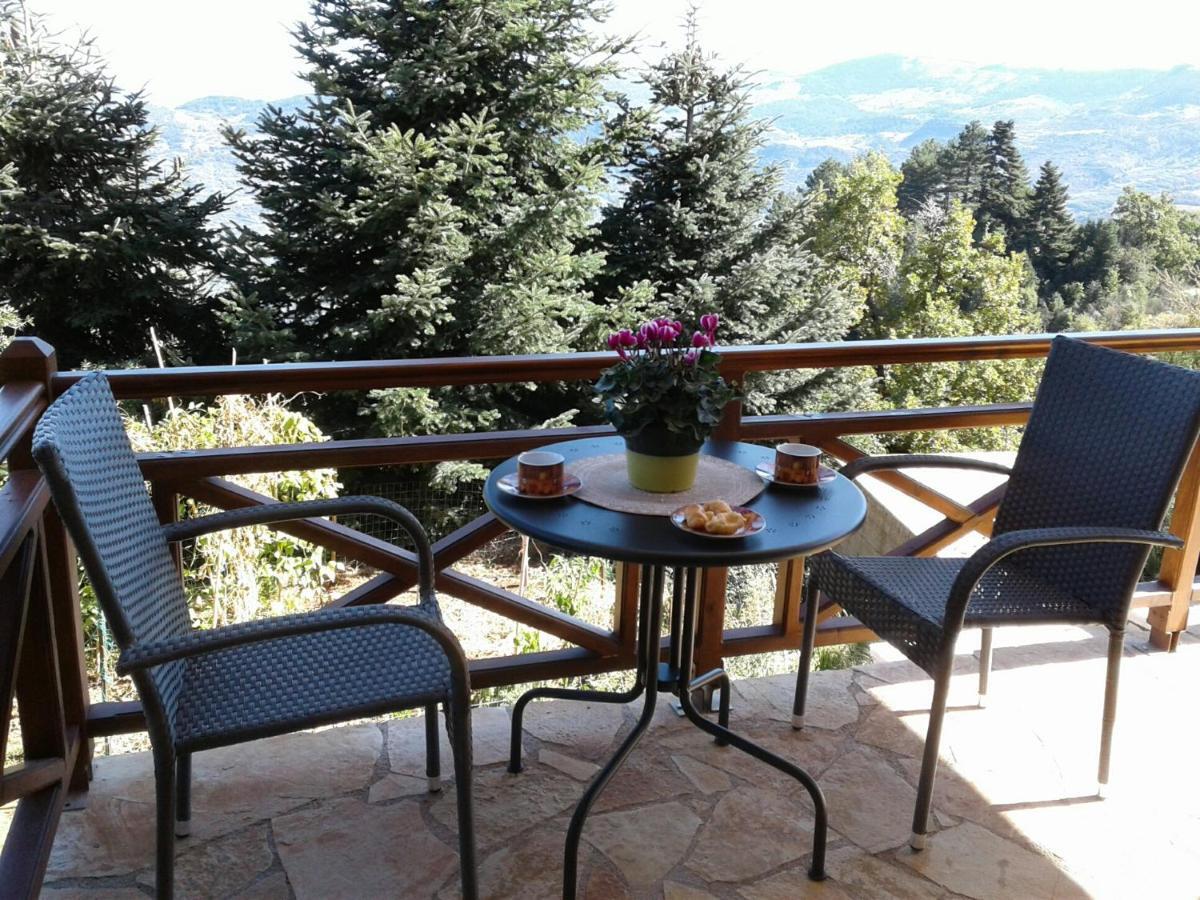 Elatos cozy Studio Ano Trikala Esterno foto